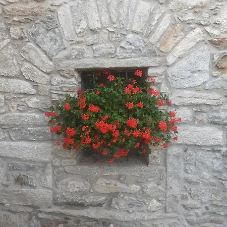 Hébergement de vacances Casa La Foriana Carema